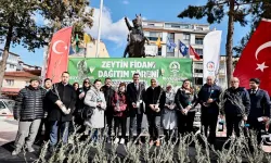 Denizli'de zeytin fidanları toprakla buluşuyor