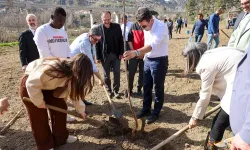 Bilecik Valisi üniversitelilerle fidan dikti