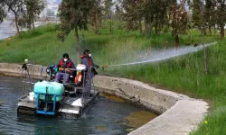 İstanbul'da sivrisinekle mücadelede önlemler arttı