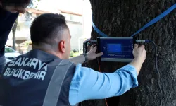 Sakarya'dan doğaya ‘şifa’ gibi adım... Yeşil cennetin tomografisi çekilecek