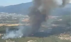 İzmir Bornova Yakaköy'de orman yangınına hızlı müdahale