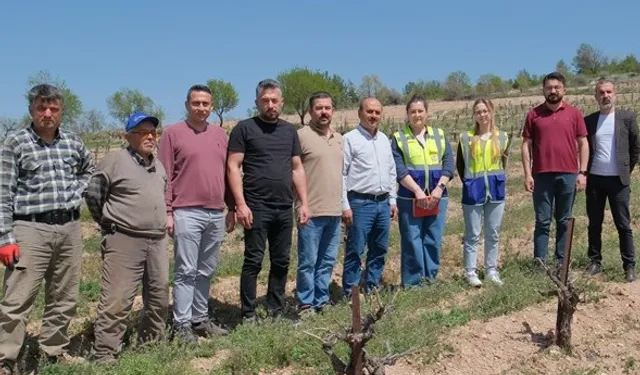 Denizli Büyükşehir üreticileri yalnız bırakmıyor