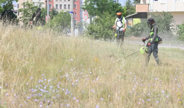 Kocaeli Çayırova'da boş arazilerdeki otlar biçiliyor