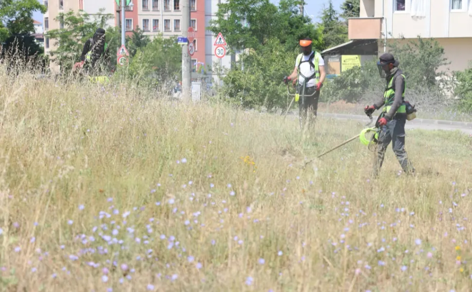 Kocaeli Çayırova'da boş arazilerdeki otlar biçiliyor